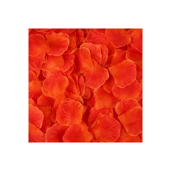 Pack de 100 Pétales de Rose